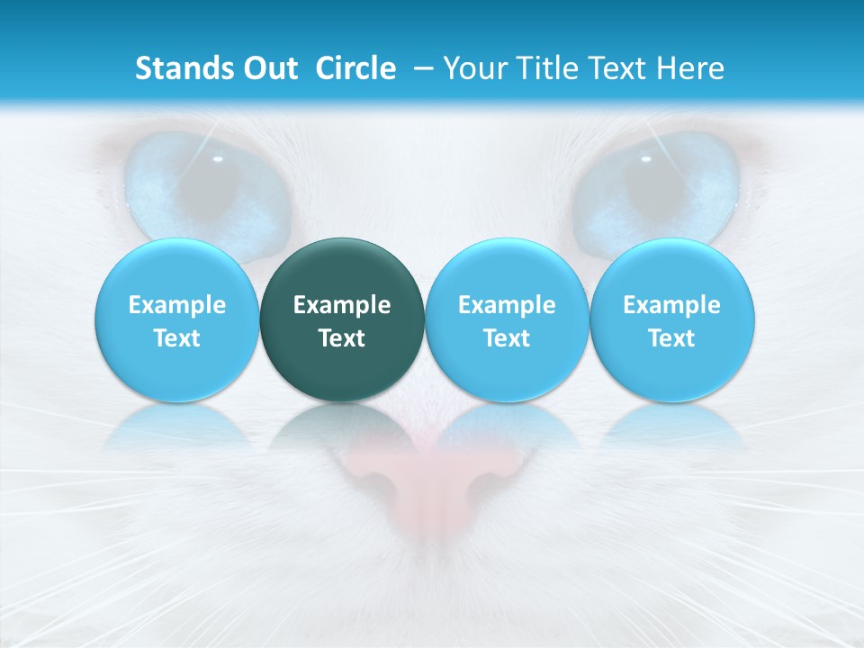 Tail Feline Curious PowerPoint Template