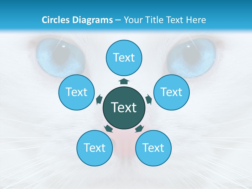 Tail Feline Curious PowerPoint Template