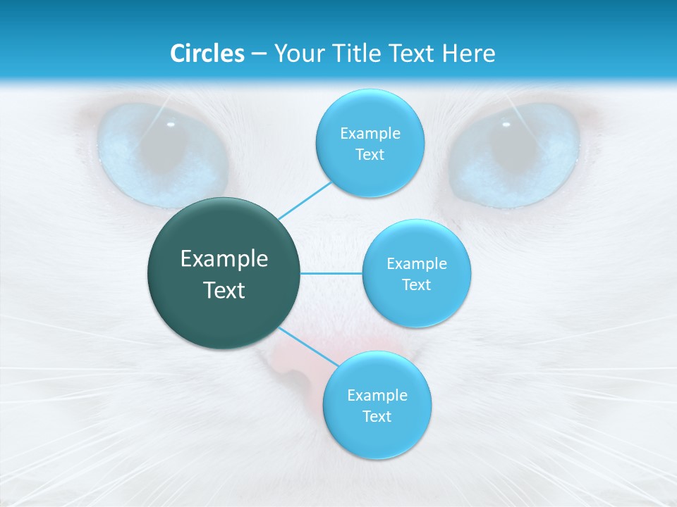 Tail Feline Curious PowerPoint Template
