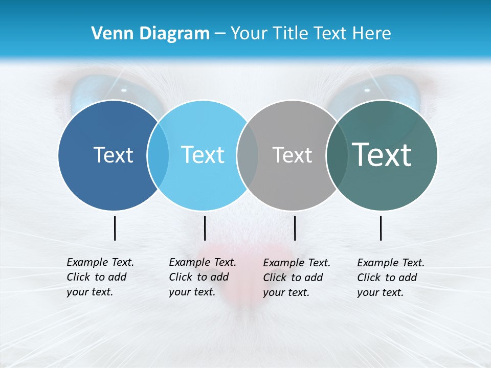 Tail Feline Curious PowerPoint Template