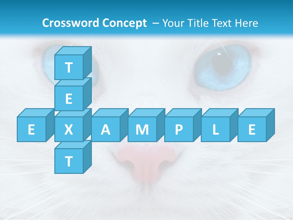 Tail Feline Curious PowerPoint Template