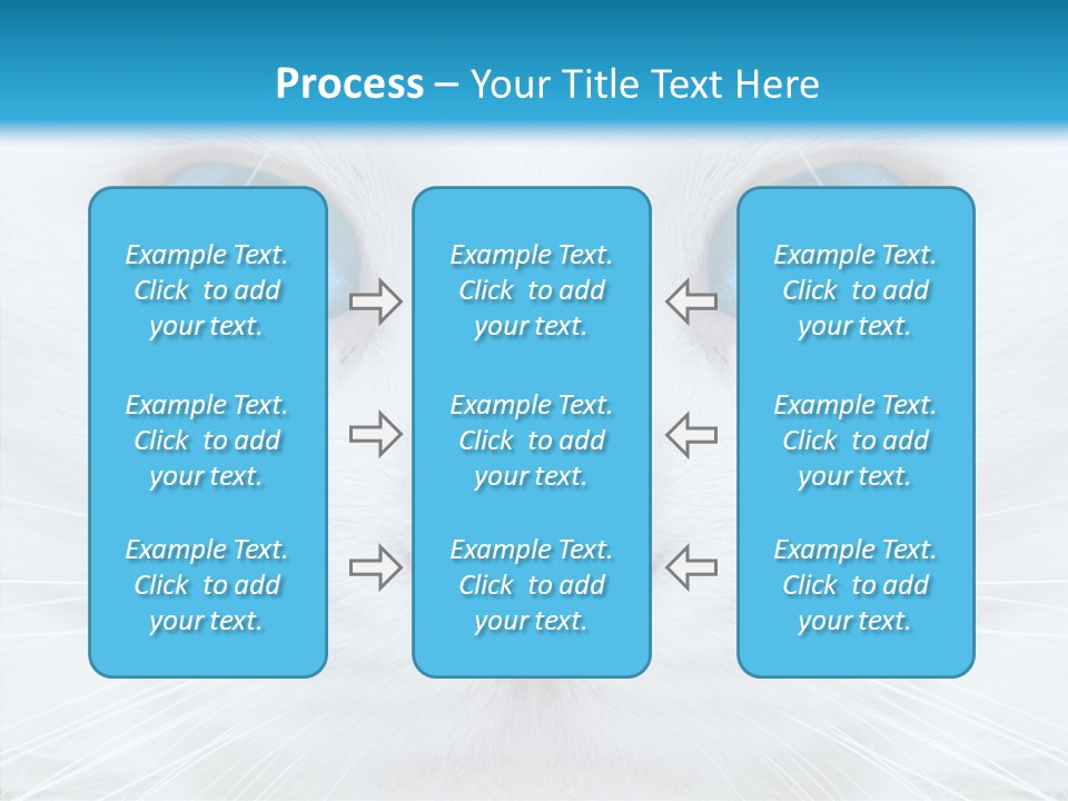 Tail Feline Curious PowerPoint Template