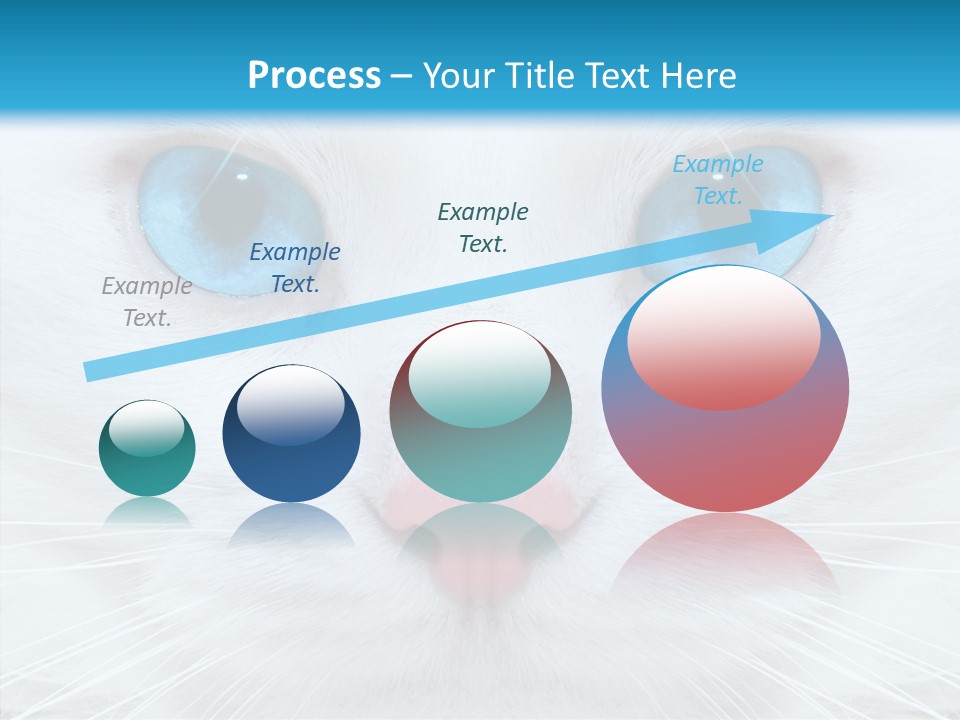 Tail Feline Curious PowerPoint Template