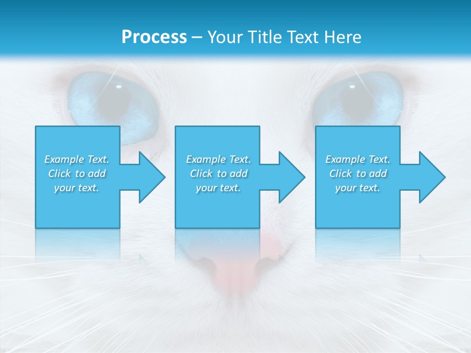 Tail Feline Curious PowerPoint Template