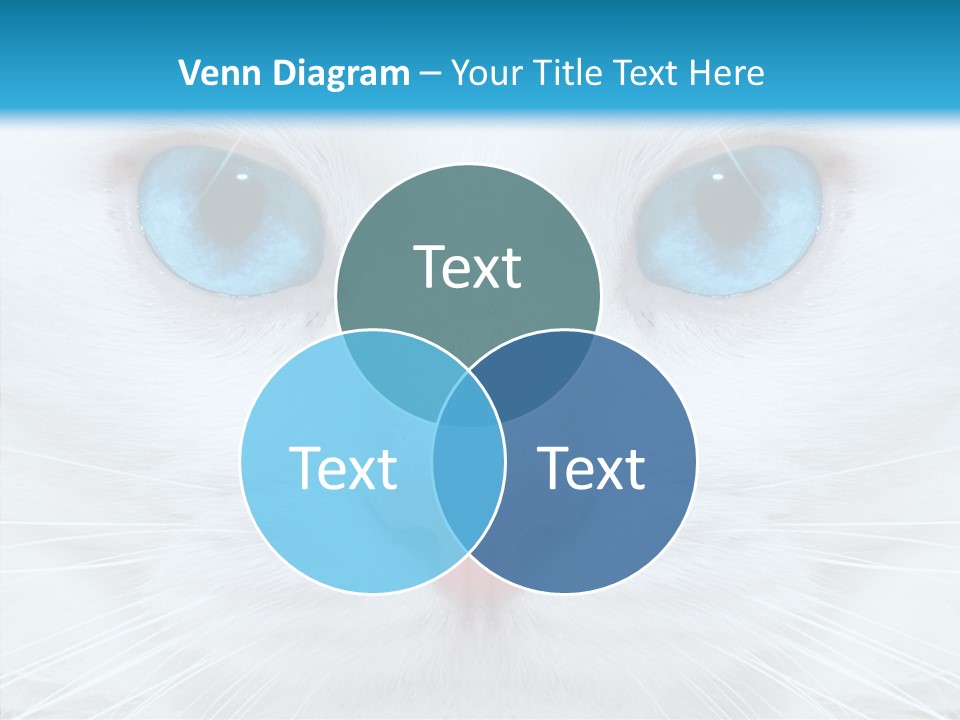 Tail Feline Curious PowerPoint Template