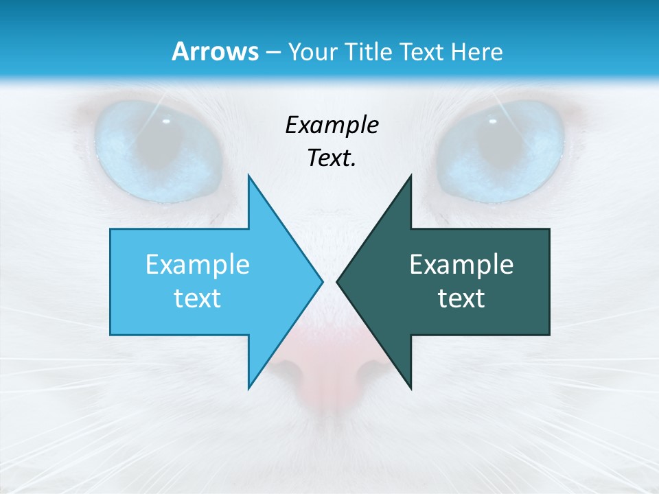 Tail Feline Curious PowerPoint Template