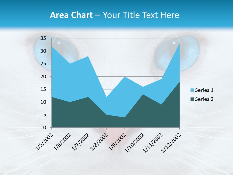 Tail Feline Curious PowerPoint Template
