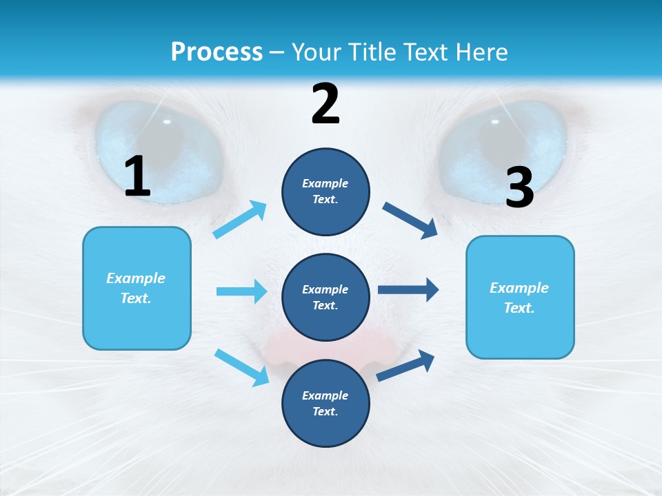 Tail Feline Curious PowerPoint Template
