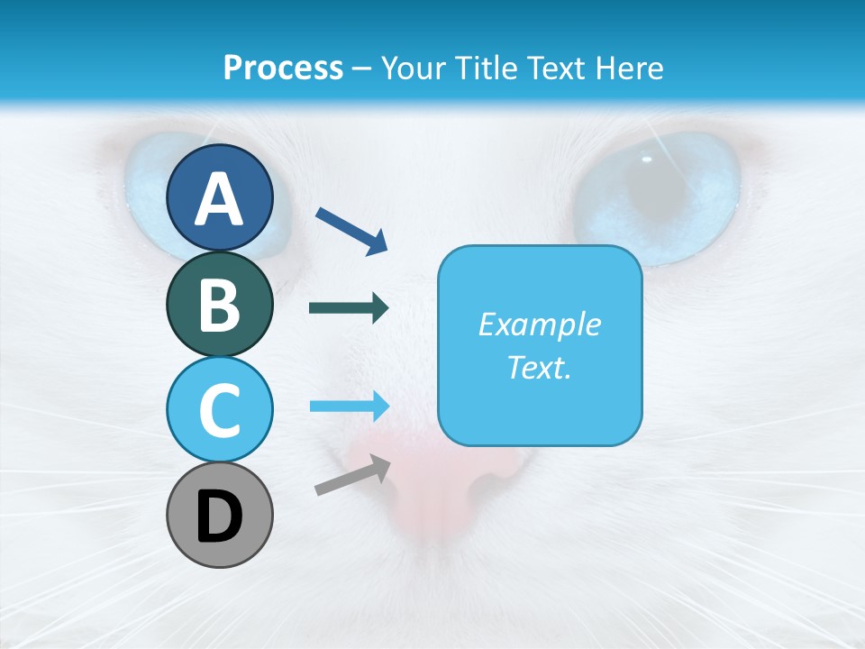 Tail Feline Curious PowerPoint Template