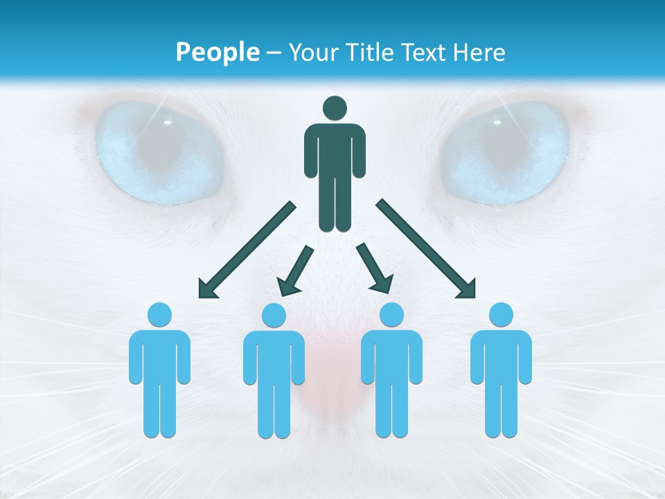 Tail Feline Curious PowerPoint Template