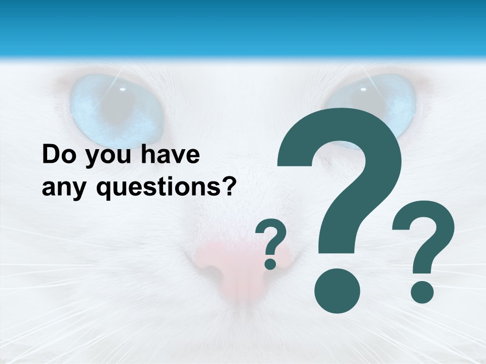Tail Feline Curious PowerPoint Template