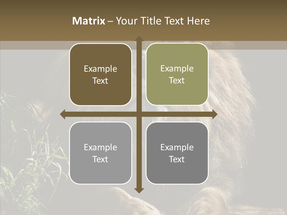 Portrait Pose Noble PowerPoint Template