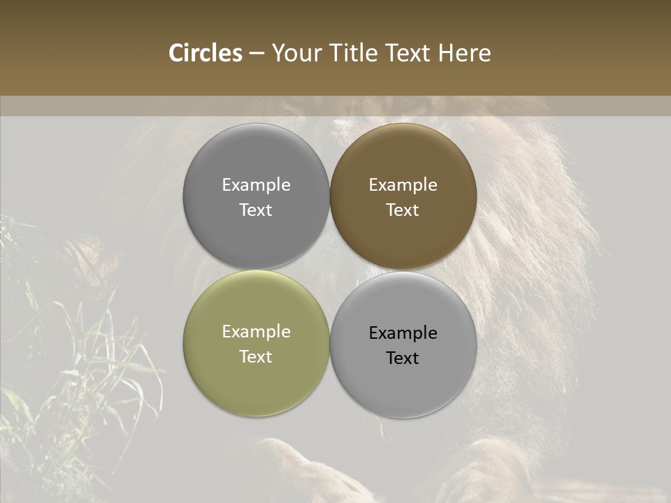 Portrait Pose Noble PowerPoint Template