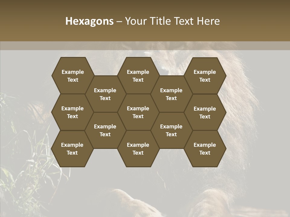 Portrait Pose Noble PowerPoint Template