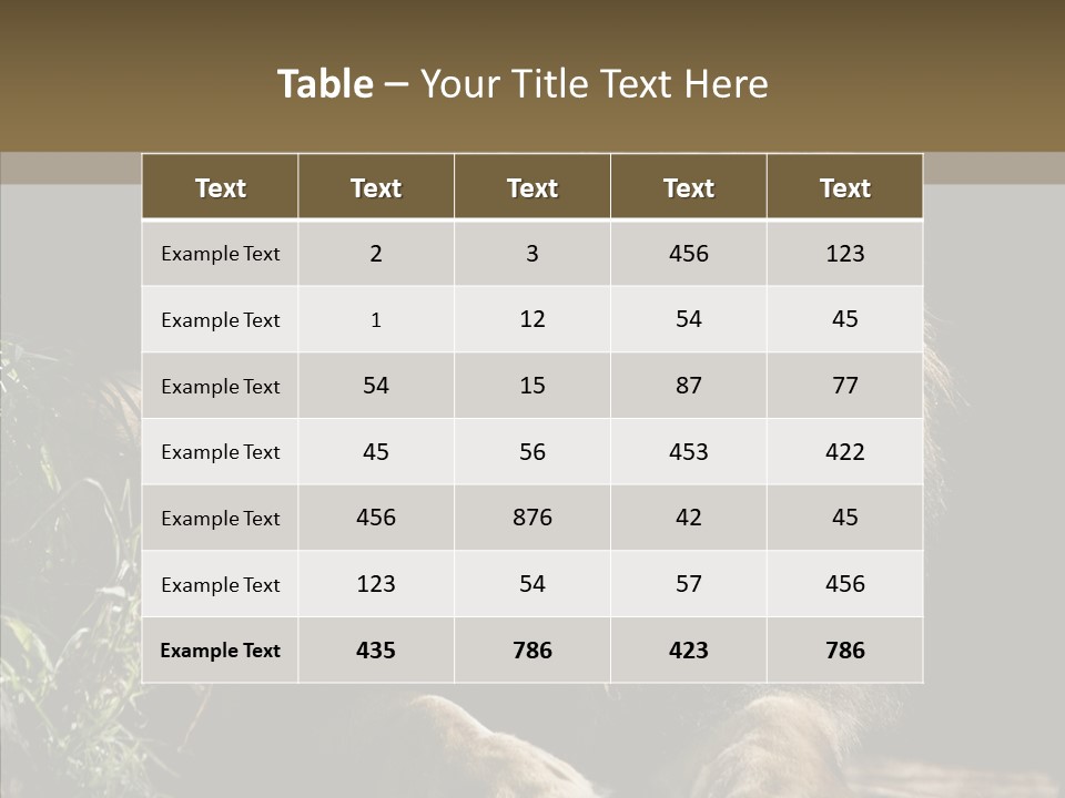 Portrait Pose Noble PowerPoint Template