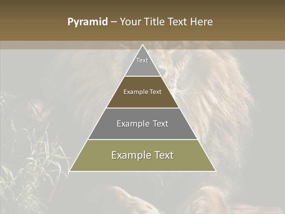 Portrait Pose Noble PowerPoint Template