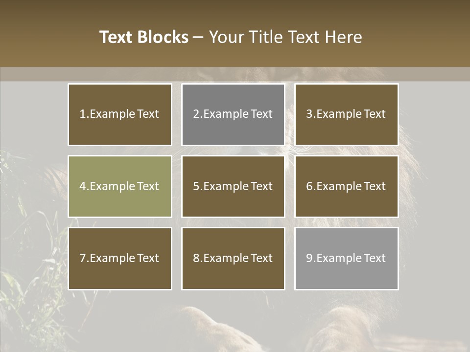 Portrait Pose Noble PowerPoint Template