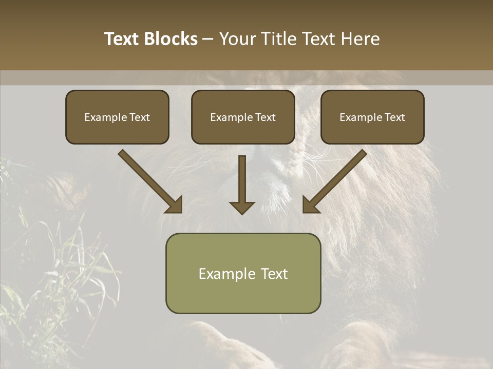 Portrait Pose Noble PowerPoint Template