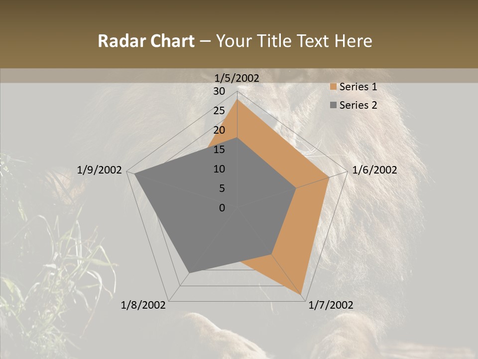 Portrait Pose Noble PowerPoint Template