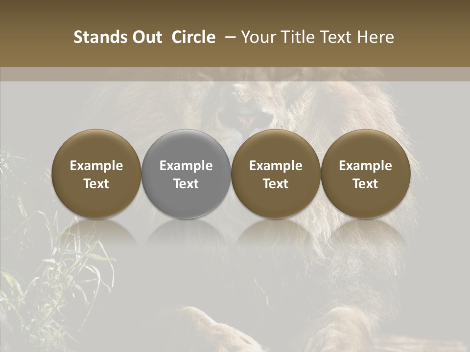 Portrait Pose Noble PowerPoint Template