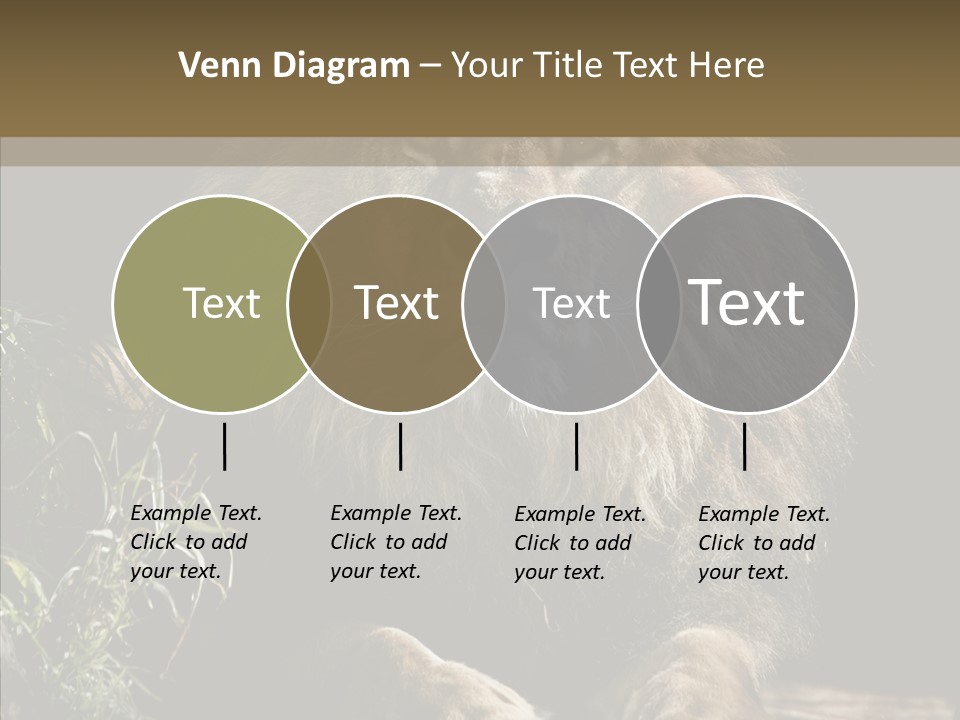 Portrait Pose Noble PowerPoint Template