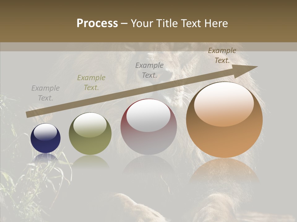 Portrait Pose Noble PowerPoint Template