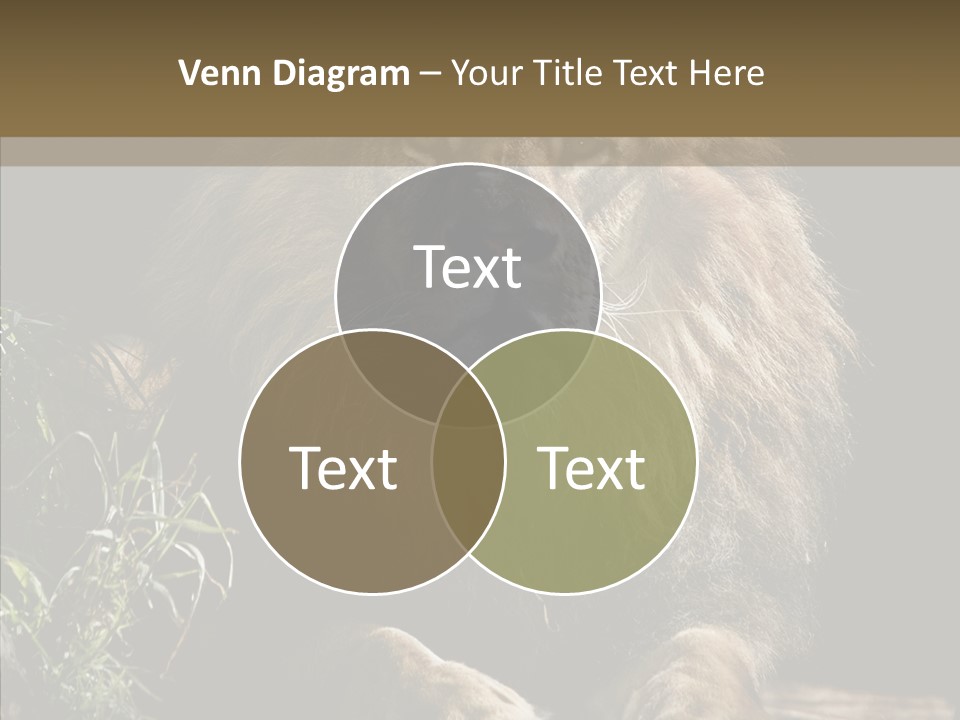 Portrait Pose Noble PowerPoint Template