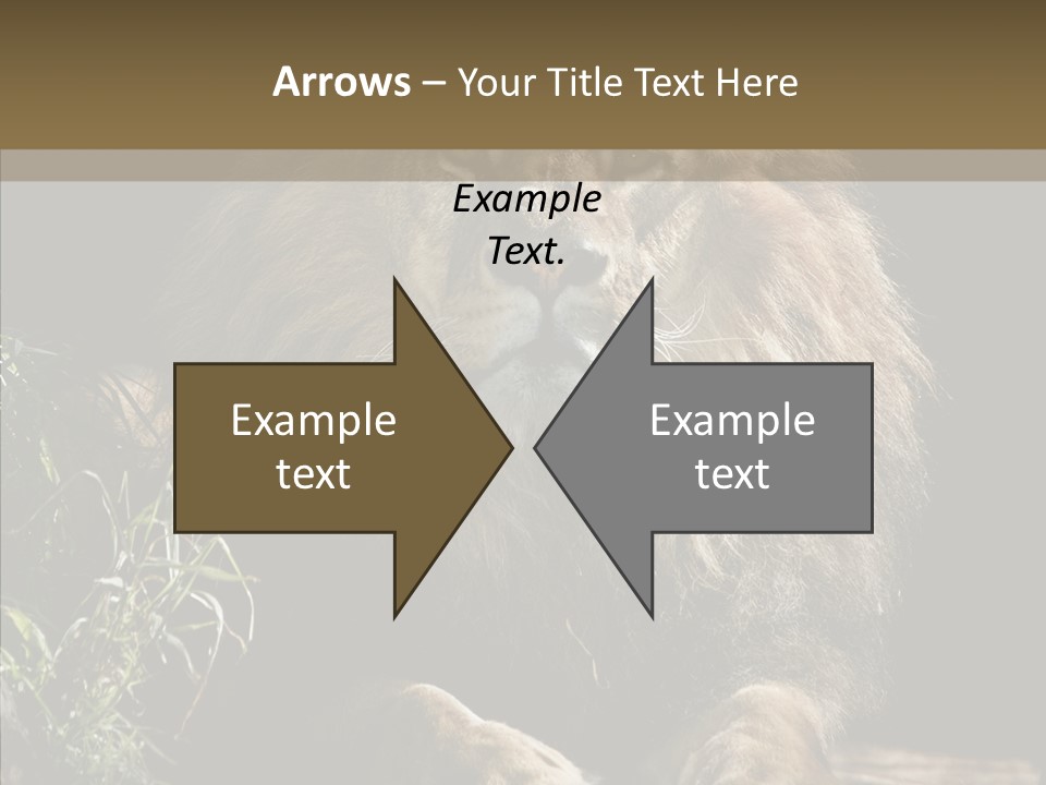 Portrait Pose Noble PowerPoint Template