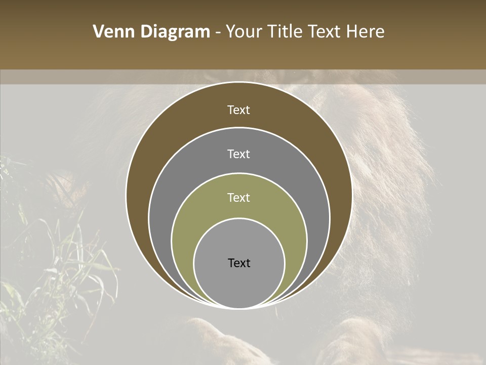 Portrait Pose Noble PowerPoint Template