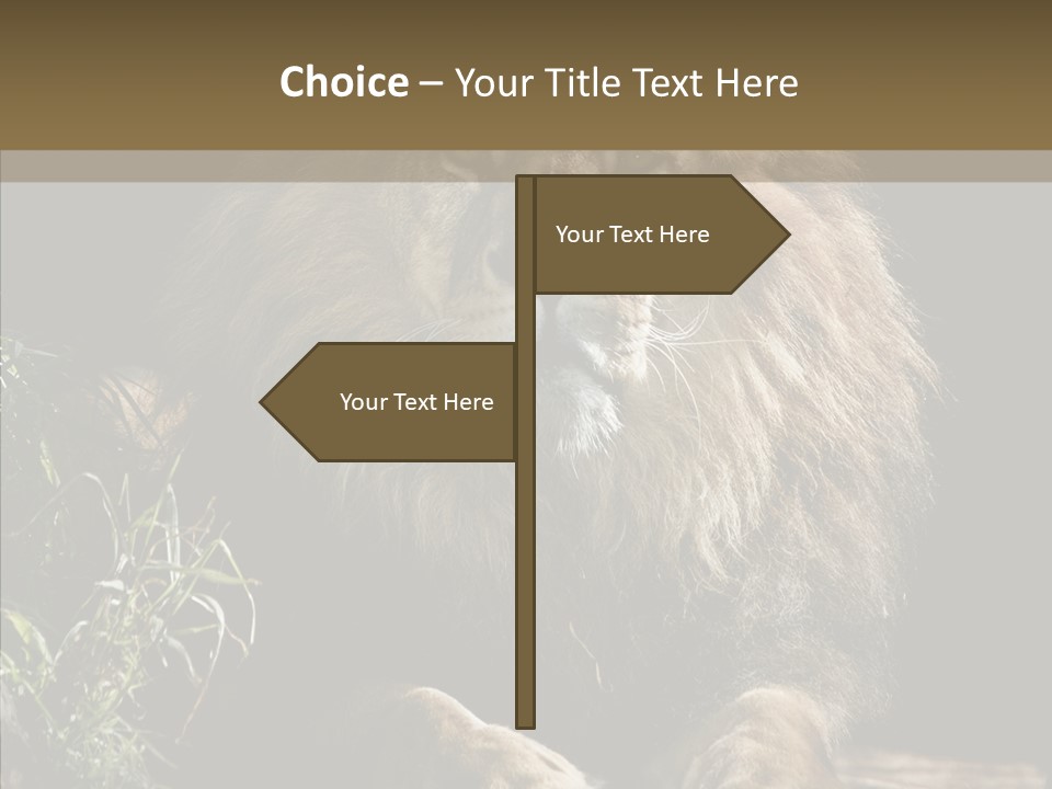 Portrait Pose Noble PowerPoint Template