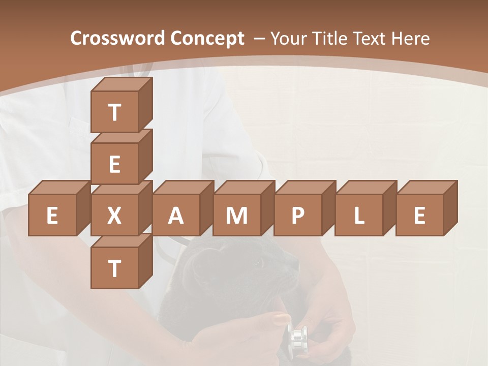 Doctor Cute Female PowerPoint Template