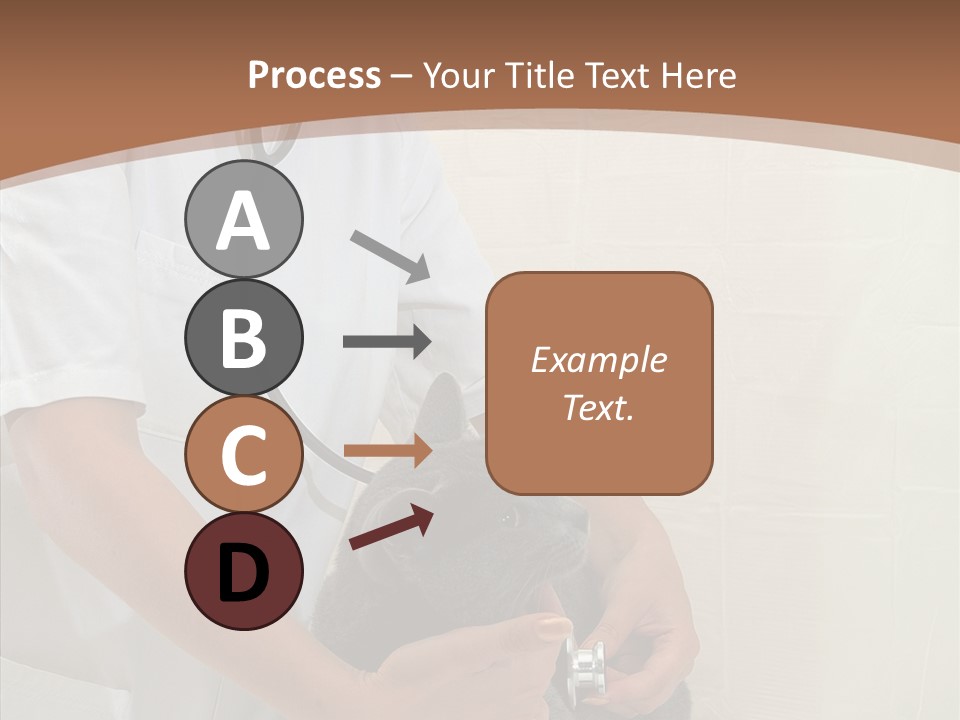 Doctor Cute Female PowerPoint Template