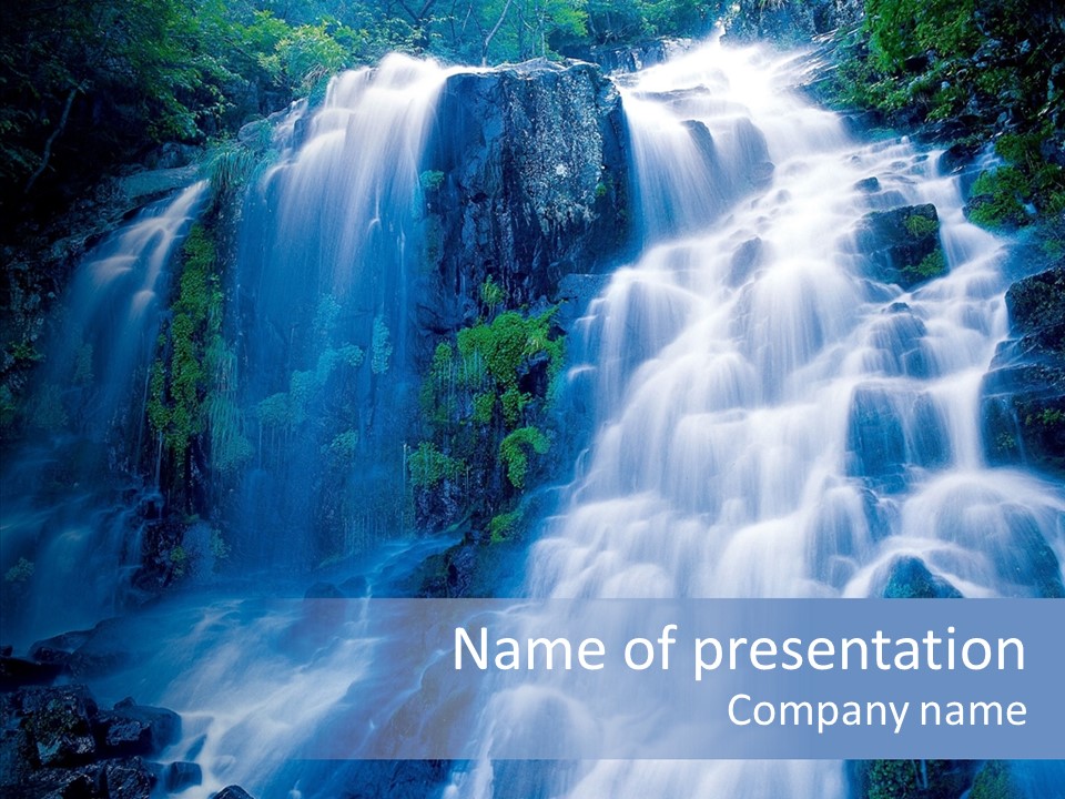 Picture Leaf Park PowerPoint Template