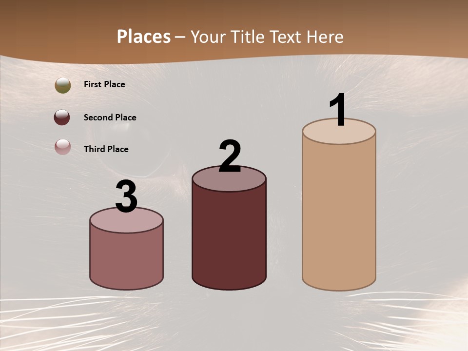 Stare Attention Space PowerPoint Template