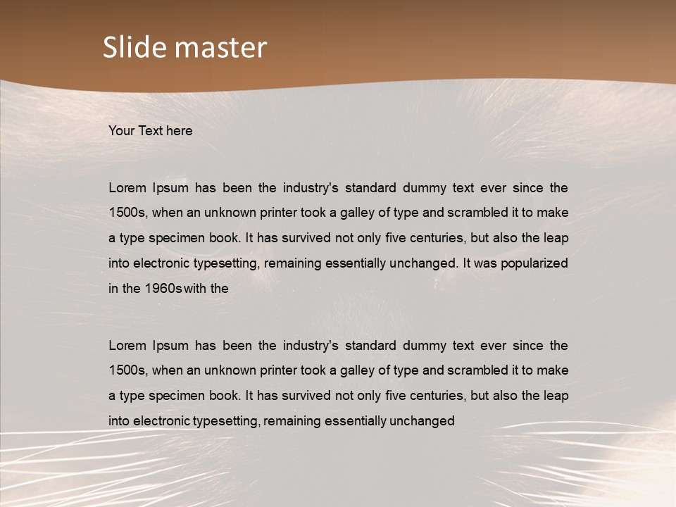 Stare Attention Space PowerPoint Template