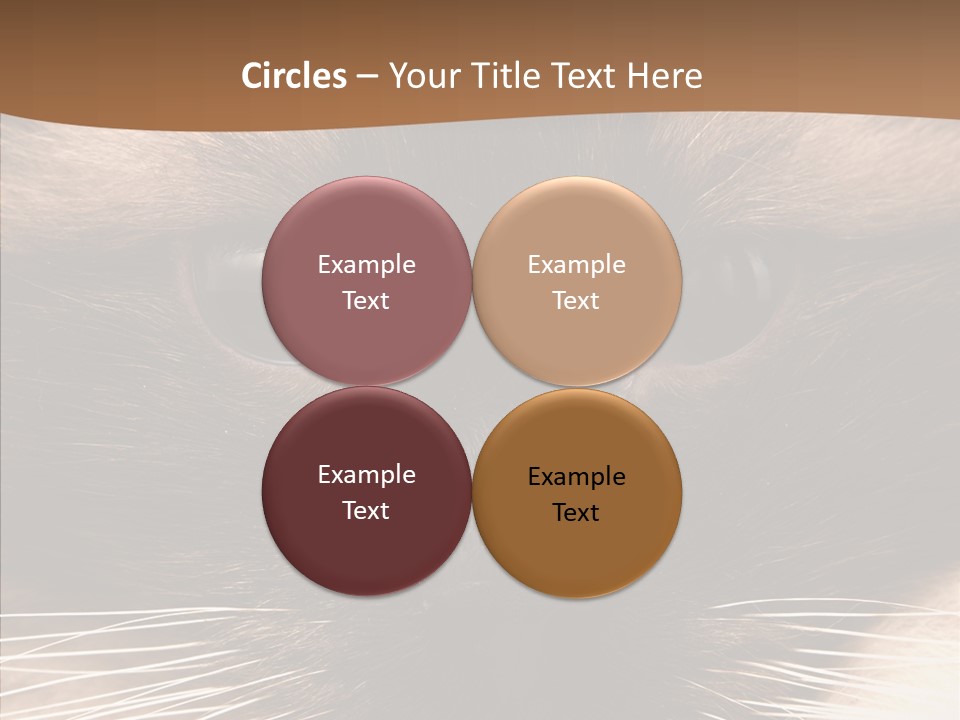 Stare Attention Space PowerPoint Template