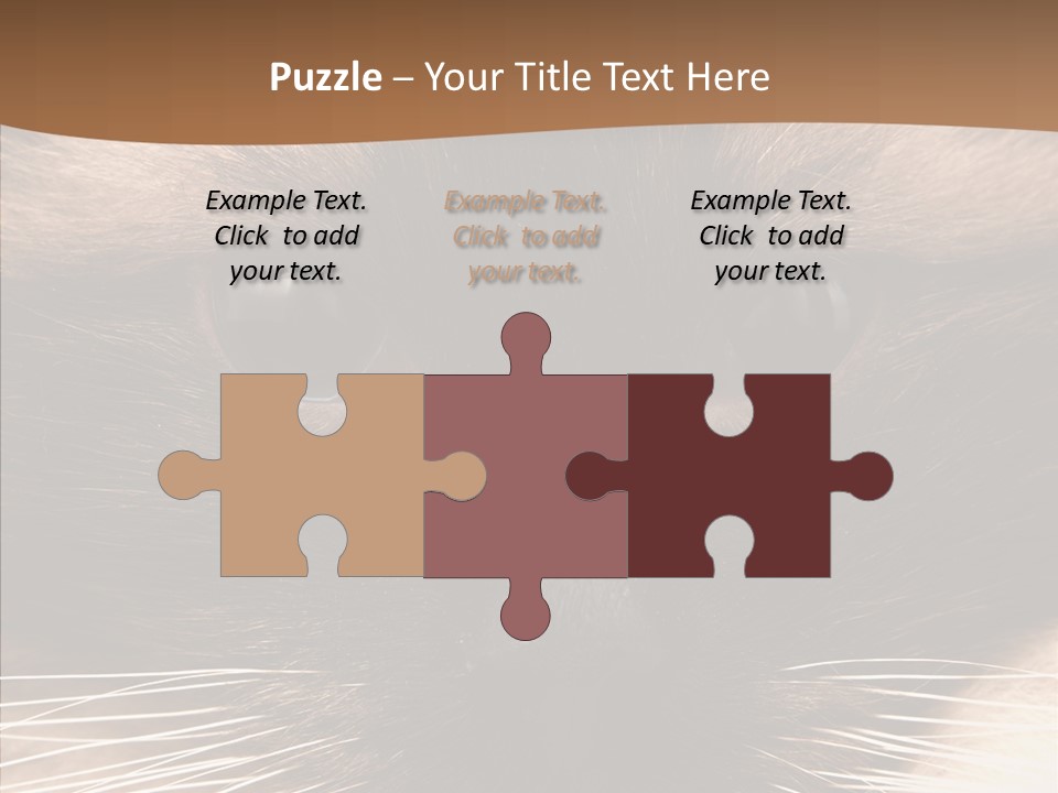 Stare Attention Space PowerPoint Template