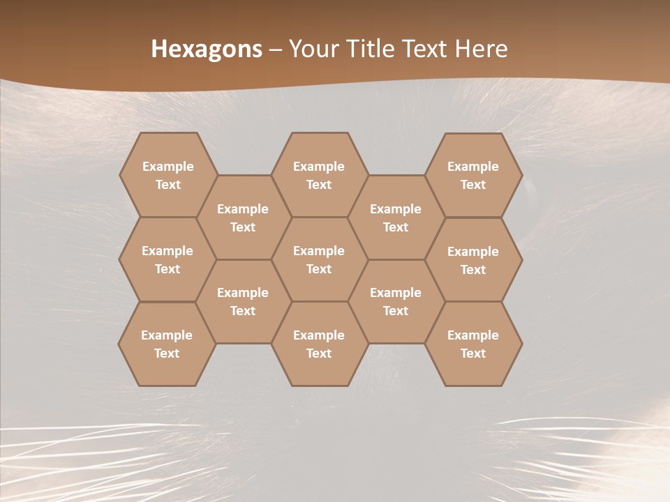 Stare Attention Space PowerPoint Template