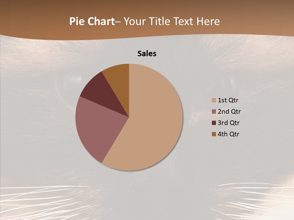 Stare Attention Space PowerPoint Template