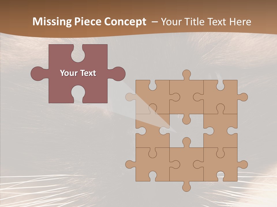 Stare Attention Space PowerPoint Template