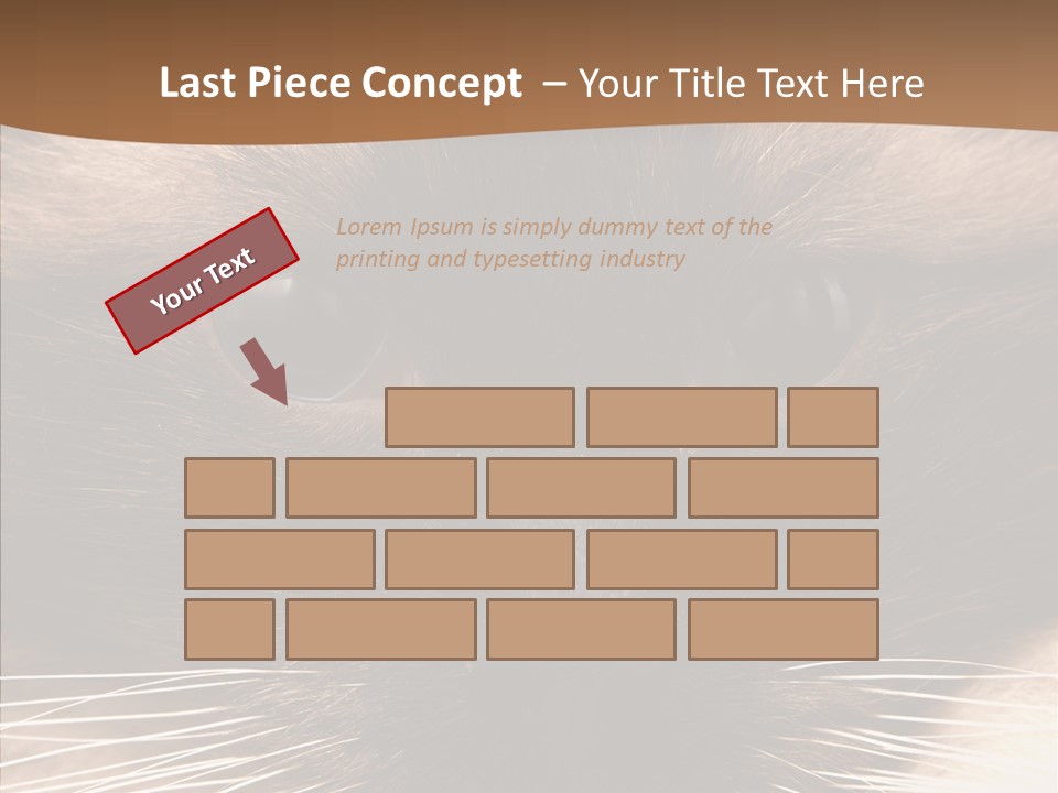 Stare Attention Space PowerPoint Template