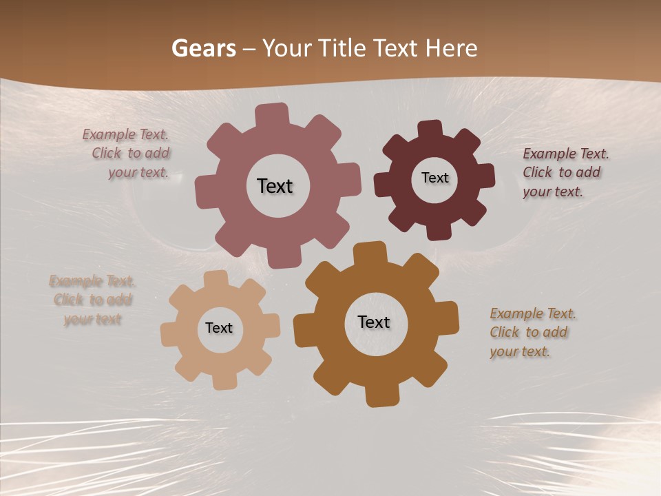 Stare Attention Space PowerPoint Template