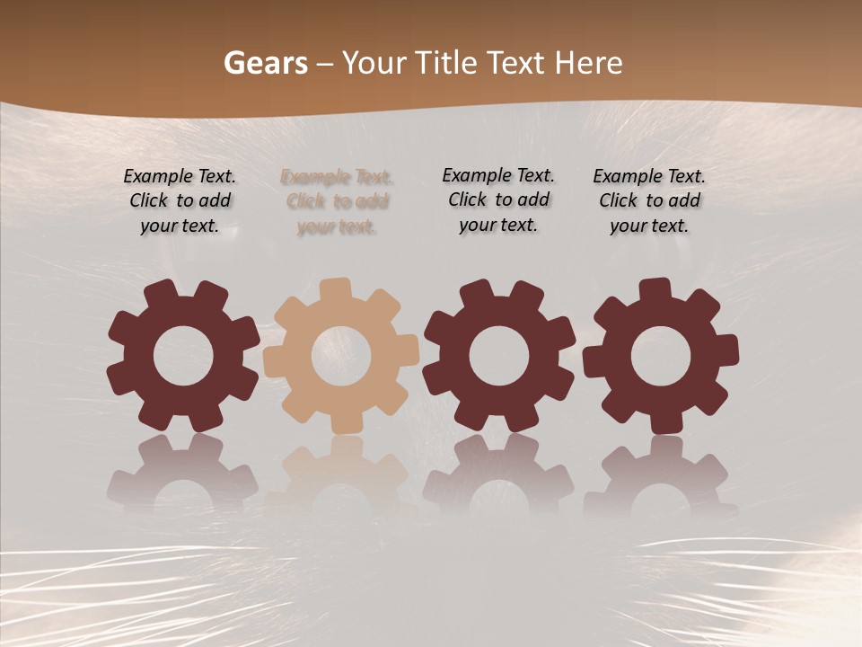 Stare Attention Space PowerPoint Template