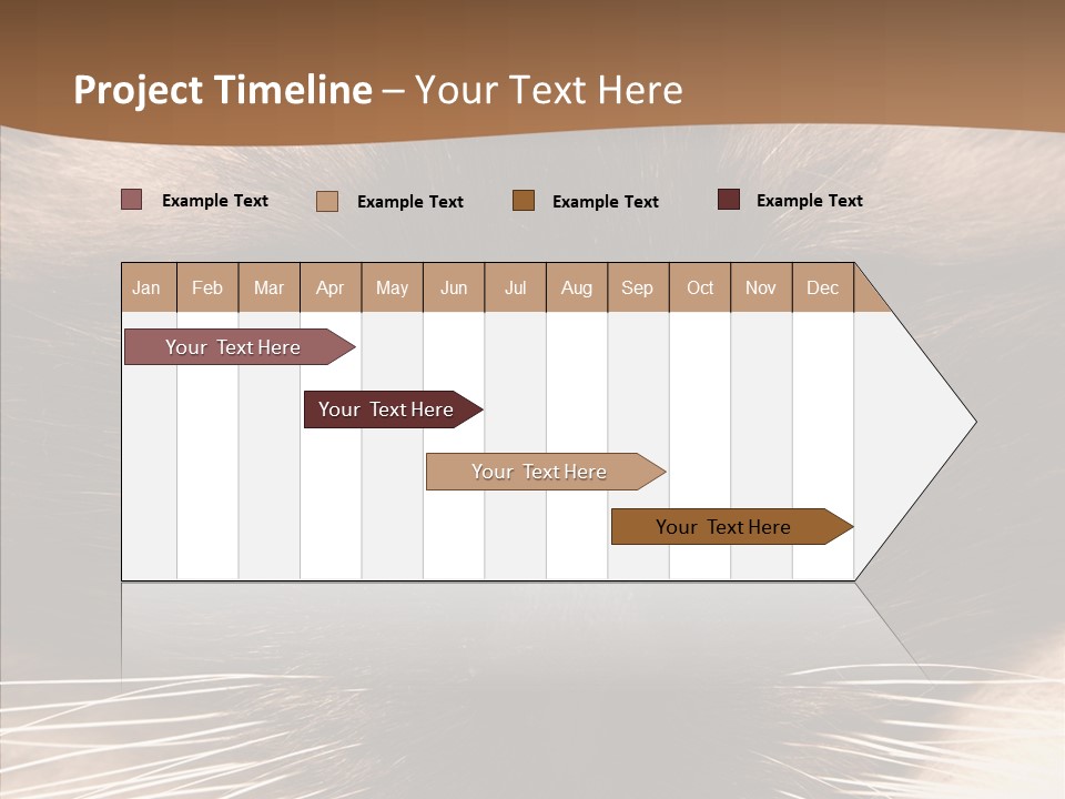 Stare Attention Space PowerPoint Template