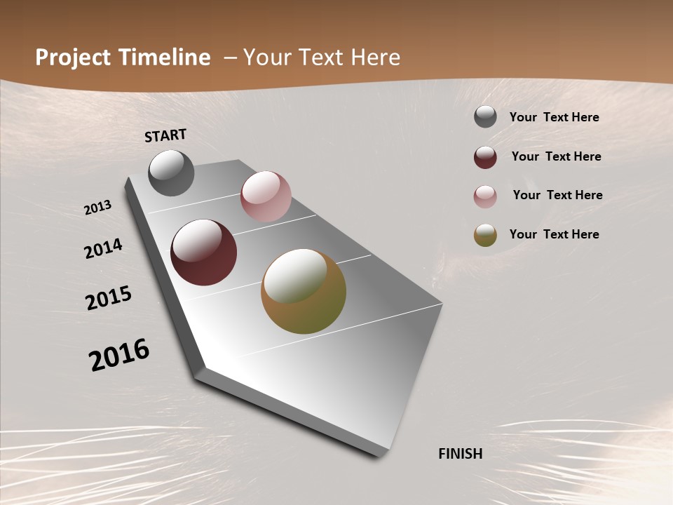 Stare Attention Space PowerPoint Template