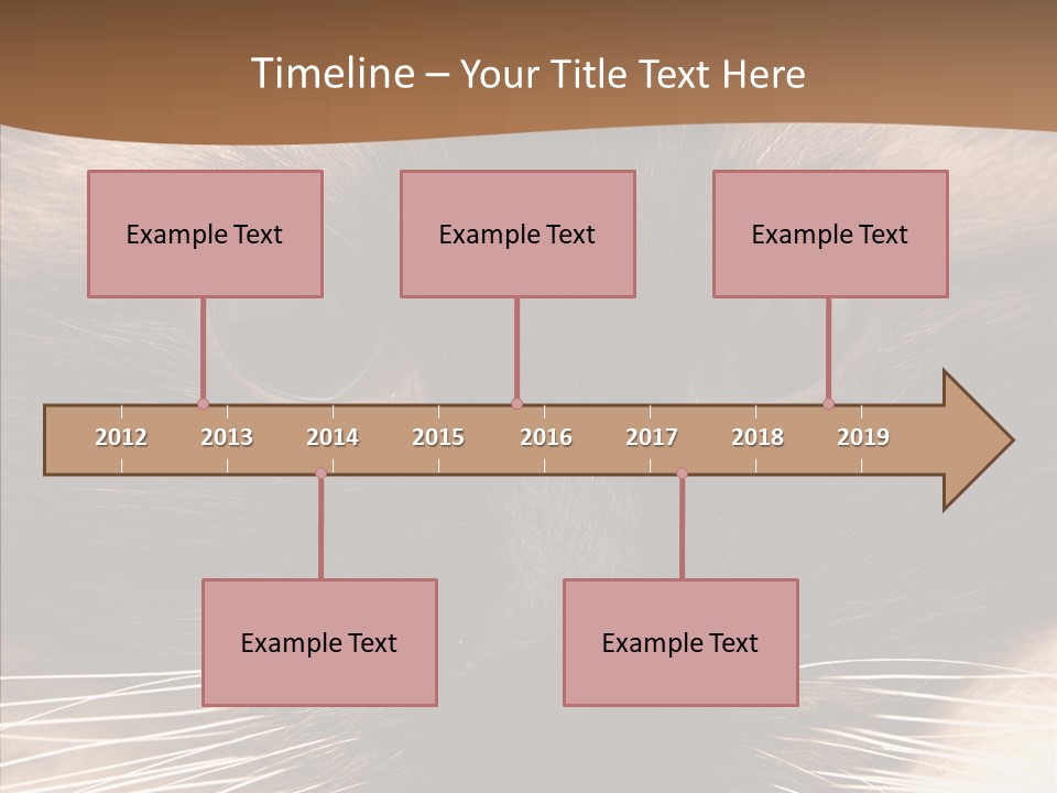 Stare Attention Space PowerPoint Template