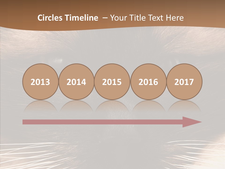 Stare Attention Space PowerPoint Template