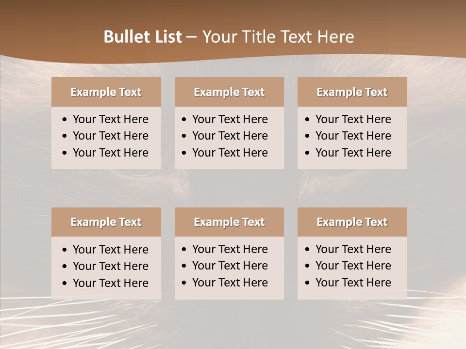 Stare Attention Space PowerPoint Template