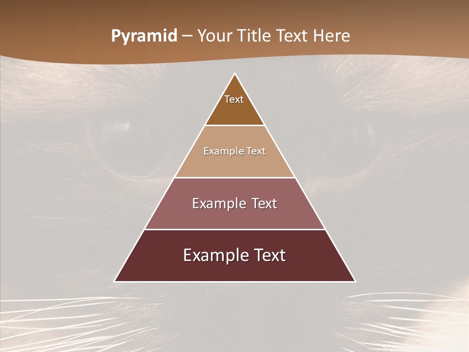 Stare Attention Space PowerPoint Template