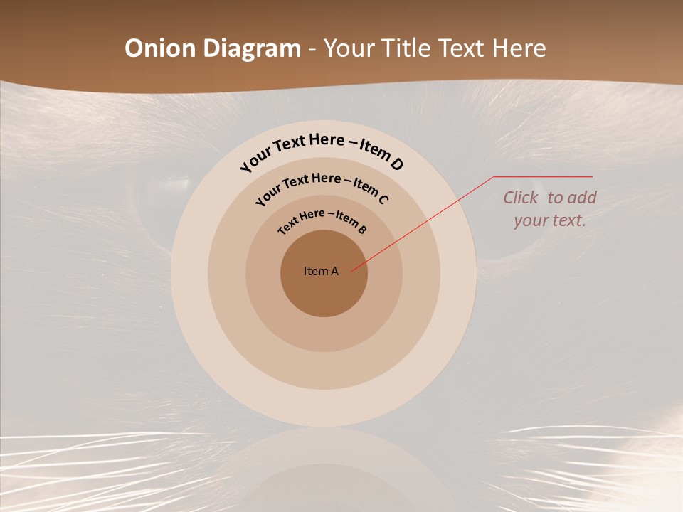 Stare Attention Space PowerPoint Template